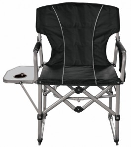 Flex Directors Chair