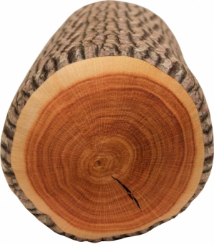 Log Pillow