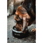 Stainless Steel Dog Bowl