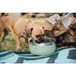 Stainless Steel Dog Bowl