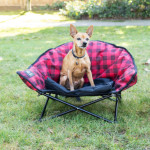 Little Lazy Bear Dog Bed
